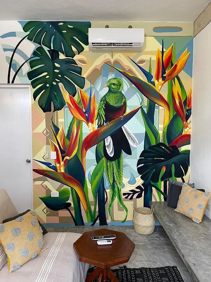 Katalox Jungle Lofts By Simply Comfort Tulum Centre Rooftop Patio & Pool Apartment 0*,  Mexico